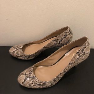 Snake Skin Pumps